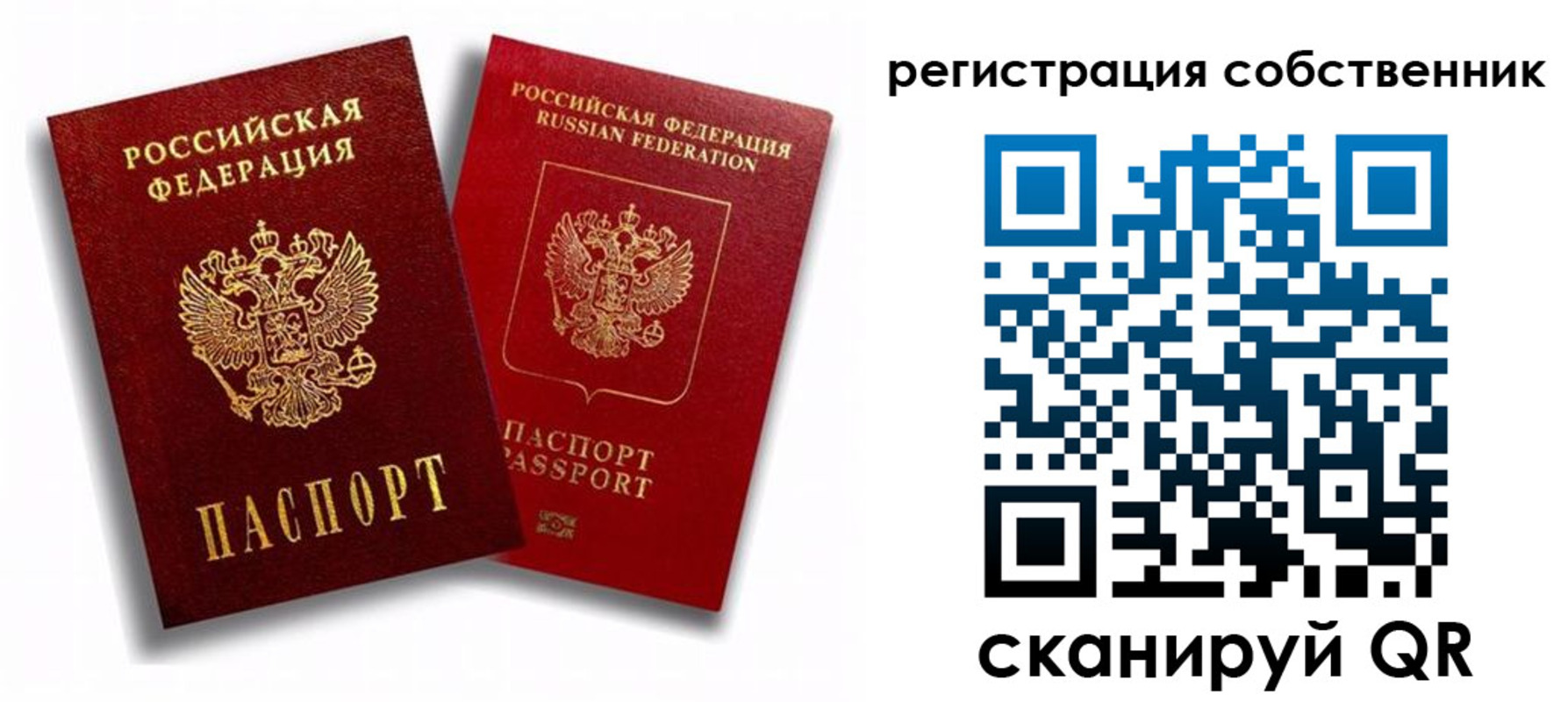 прописка штамп в Курской области