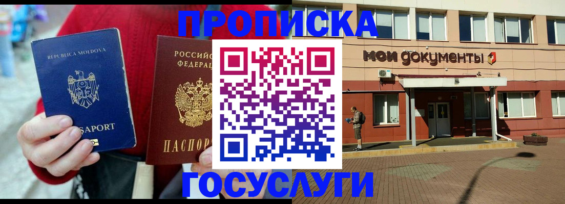 прописка в Курской области